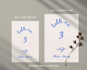 BeyzaLab Hand Drawn Wedding Table Numbers