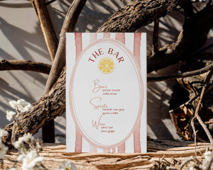 BeyzaLab Terracotta Wedding Bar Menu Sign