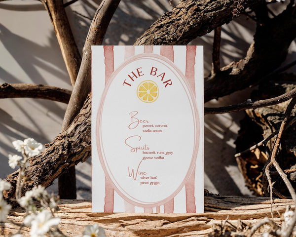 BeyzaLab Terracotta Wedding Bar Menu Sign