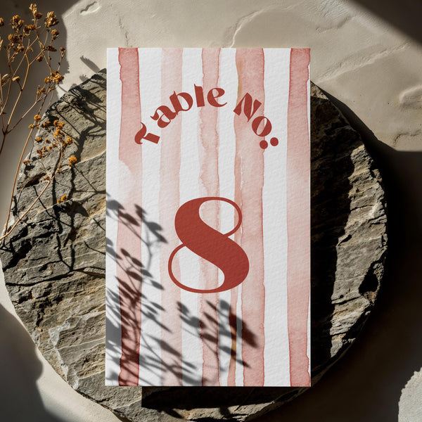 BeyzaLab Terracotta Wedding Table Numbers