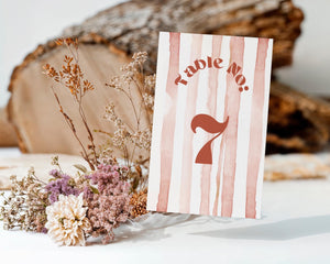 BeyzaLab Terracotta Wedding Table Numbers