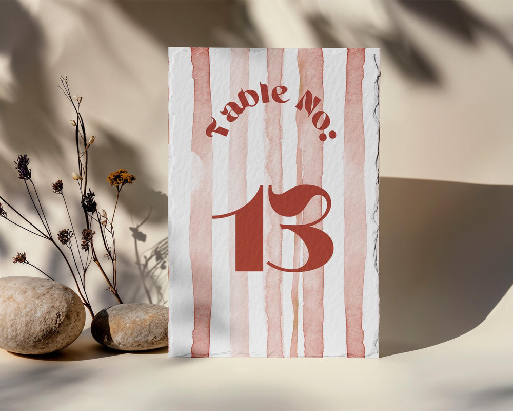 BeyzaLab Terracotta Wedding Table Numbers