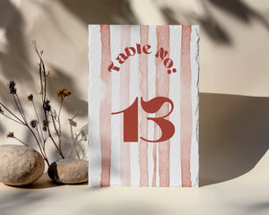 BeyzaLab Terracotta Wedding Table Numbers