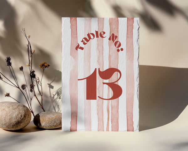 BeyzaLab Terracotta Wedding Table Numbers