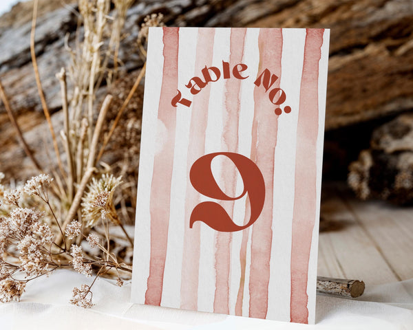 BeyzaLab Terracotta Wedding Table Numbers